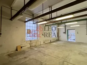 Pronájem skladu, Ústí nad Labem - Krásné Březno, Drážďanská, 69 m2