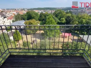 Pronájem bytu 4+kk, Praha, U Havlíčkových sadů, 100 m2