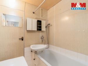 Prodej bytu 3+1, Děčín - Děčín VI-Letná, Krásnostudenecká, 67 m2