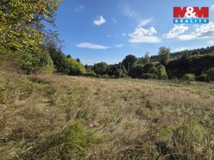 Prodej pozemku pro bydlení, Merklín - Lípa, 1763 m2