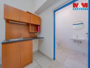 Prodej obchodního prostoru, Šarovy, 400 m2