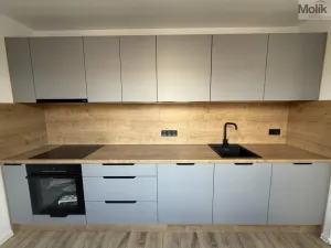 Pronájem bytu 2+1, Most, Maxe Švabinského, 54 m2