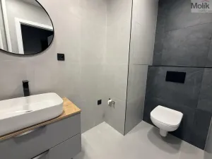 Pronájem bytu 2+1, Most, Maxe Švabinského, 54 m2