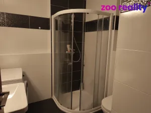 Pronájem bytu 2+kk, České Budějovice, B. Smetany, 46 m2