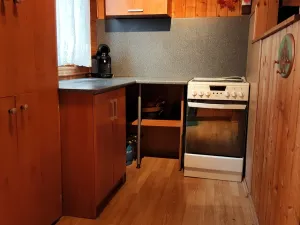 Prodej chaty, Cheb - Tršnice, 45 m2