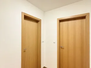 Pronájem bytu 2+kk, Liberec - Liberec I-Staré Město, Vítězná, 65 m2