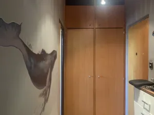 Pronájem bytu 2+1, Bohutín, 51 m2