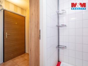 Pronájem bytu 1+kk, Praha - Řepy, Nevanova, 36 m2