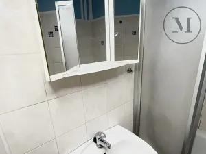 Pronájem bytu 2+1, České Budějovice, U Lesa, 46 m2