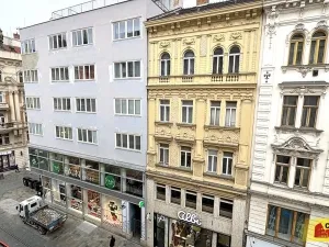 Pronájem bytu 3+1, Brno - Brno-město, 103 m2