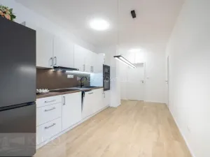 Pronájem bytu 2+kk, Brno, Auerswaldova, 51 m2