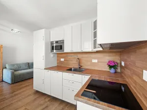 Pronájem bytu 2+kk, Klecany, V Honech, 36 m2