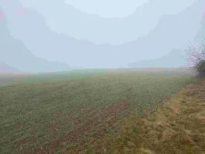 Prodej pole, Ctidružice, 58835 m2