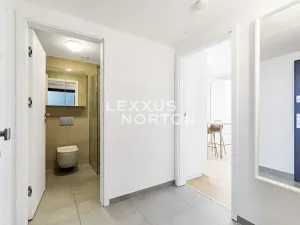 Pronájem bytu 1+kk, Praha - Smíchov, Holečkova, 34 m2