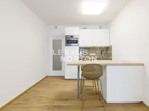 Pronájem bytu 1+kk, Praha - Smíchov, Holečkova, 34 m2