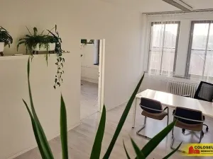 Pronájem kanceláře, Brno - Brno-město, 69 m2