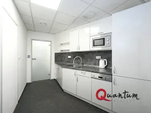 Pronájem kanceláře, Praha - Vinohrady, Šafaříkova, 32 m2