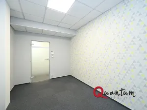 Pronájem kanceláře, Praha - Vinohrady, Šafaříkova, 131 m2