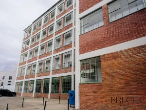 Pronájem bytu 2+kk, Třebíč, Tomáše Bati, 55 m2