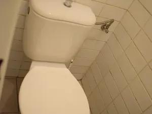 Pronájem obchodního prostoru, Volyně, Palackého, 135 m2