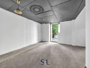 Prodej obchodního prostoru, Praha - Vysočany, Novovysočanská, 222 m2