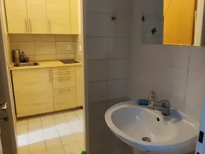 Prodej obchodního prostoru, Praha, Wenzigova, 52 m2