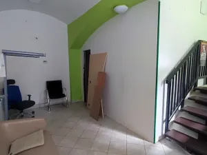 Prodej obchodního prostoru, Praha, Wenzigova, 52 m2