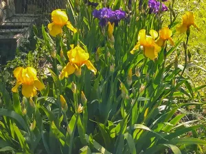 Prodej chaty, Lukavec u Hořic, 43 m2