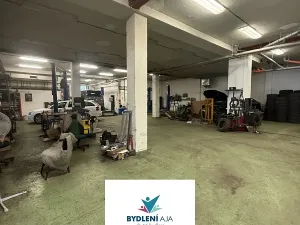 Prodej obchodního prostoru, Praha, Lodžská, 600 m2