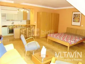 Pronájem bytu 1+kk, Praha - Vinohrady, Slezská, 45 m2