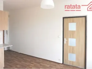 Pronájem bytu 1+1, Chomutov, Dřínovská, 35 m2