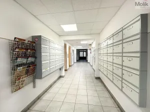 Pronájem bytu 2+1, Osek, Hrdlovská, 52 m2