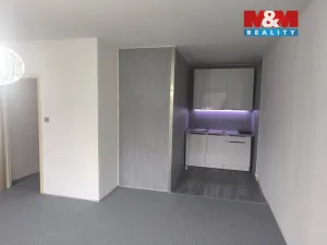 Pronájem bytu 1+kk, Ústí nad Labem - Krásné Březno, Žežická, 30 m2