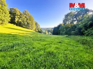 Prodej louky, Teplice nad Metují - Horní Teplice, 5449 m2