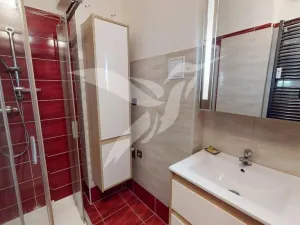 Pronájem bytu 2+1, Plzeň, Francouzská třída, 60 m2