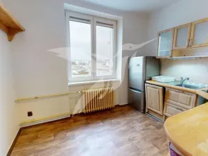 Pronájem bytu 2+1, Plzeň, Francouzská třída, 60 m2