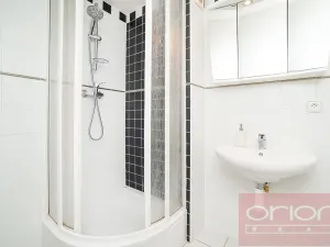 Pronájem bytu 2+1, Praha - Žižkov, Bořivojova, 100 m2