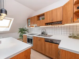 Pronájem bytu 2+1, Praha - Žižkov, Bořivojova, 116 m2