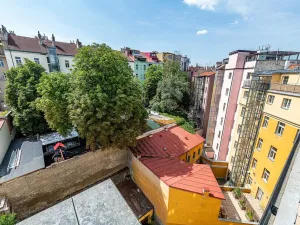 Pronájem bytu 2+1, Praha - Žižkov, Bořivojova, 116 m2