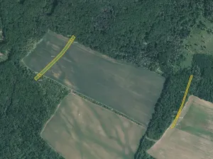 Prodej pole, Silůvky, 3655 m2