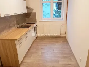 Pronájem bytu 1+1, Děčín - Děčín III-Staré Město, Žerotínova, 42 m2