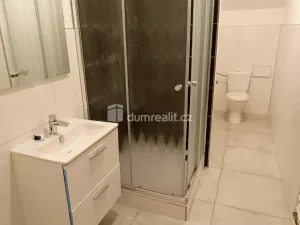 Pronájem bytu 1+1, Děčín - Děčín III-Staré Město, Žerotínova, 42 m2
