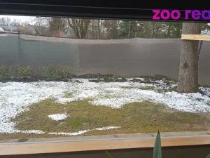 Prodej chaty, Olešná, 58 m2