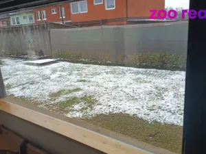 Prodej chaty, Olešná, 58 m2