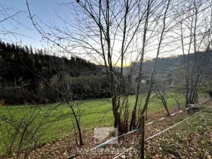 Prodej louky, Jesenný, 2409 m2