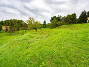 Prodej pozemku pro bydlení, Přibice, 2794 m2