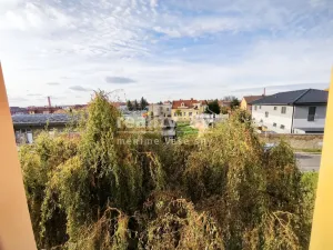 Pronájem bytu 2+kk, Kostelec nad Labem, Na Sídlišti, 34 m2