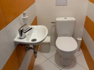 Prodej bytu 2+1, Slaný, Raichlova, 77 m2