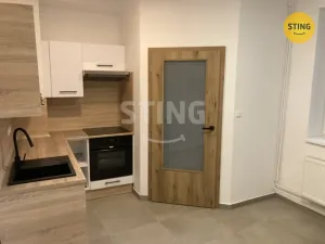 Pronájem bytu 1+1, Opava, Hviezdoslavova, 40 m2