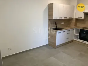 Pronájem bytu 1+1, Opava, Hviezdoslavova, 40 m2
